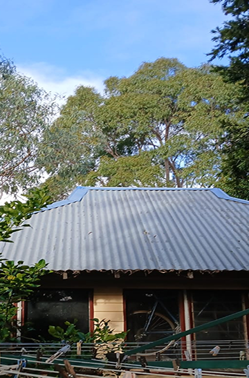Image-1